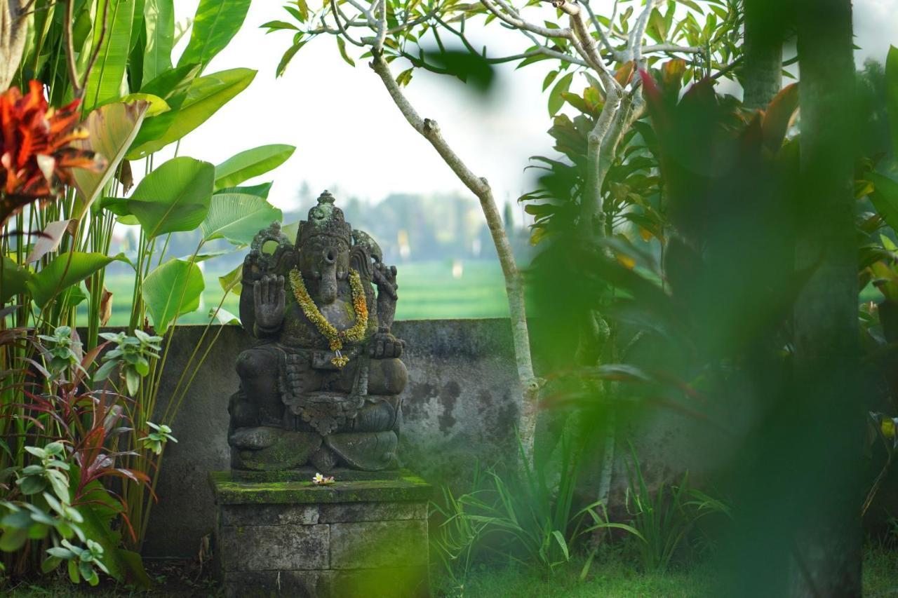 Asri Sari Villa Ubud Exterior foto